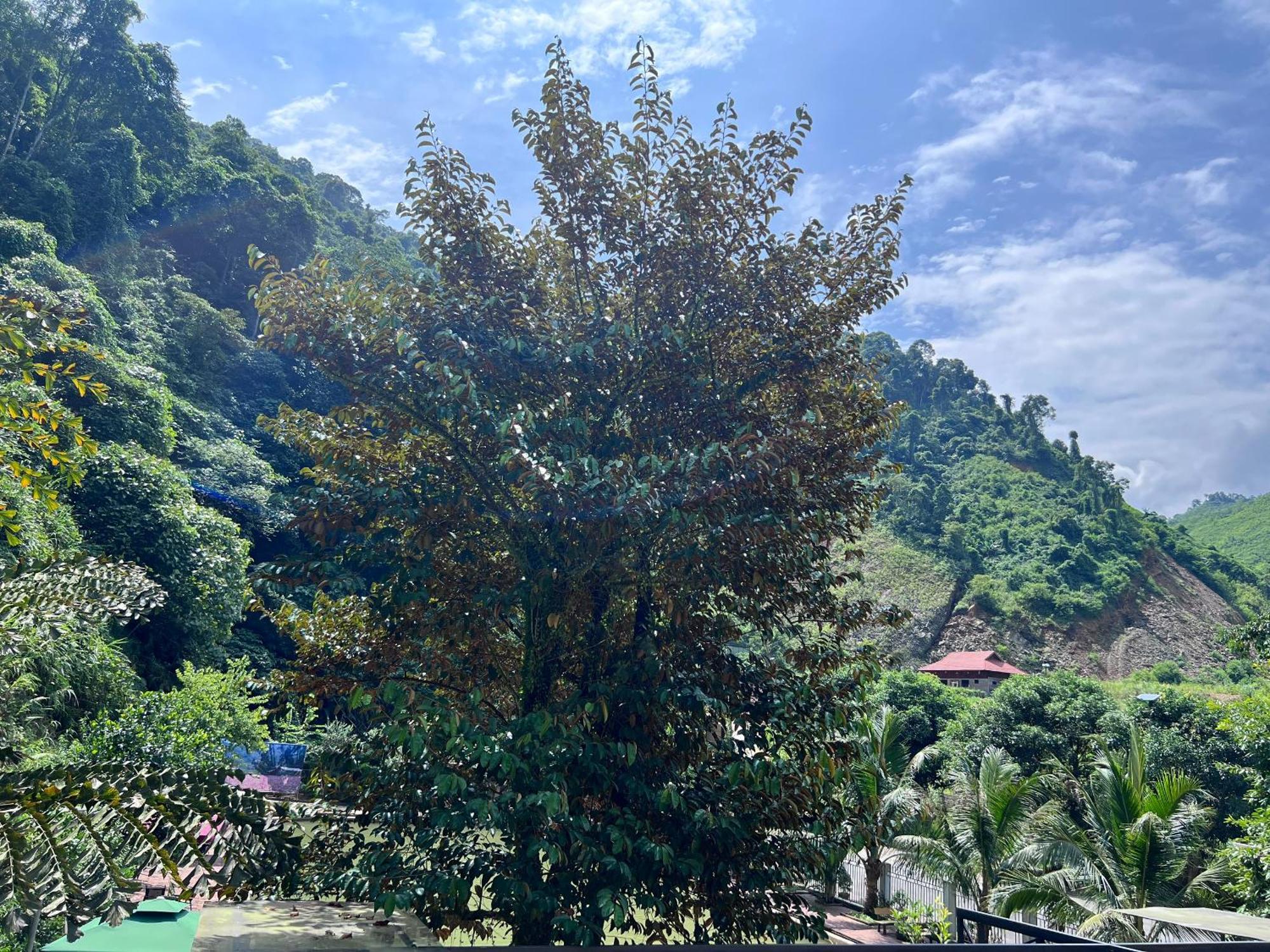 Wind'S House Ha Giang Exterior foto